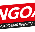 bingoal wedden op sport